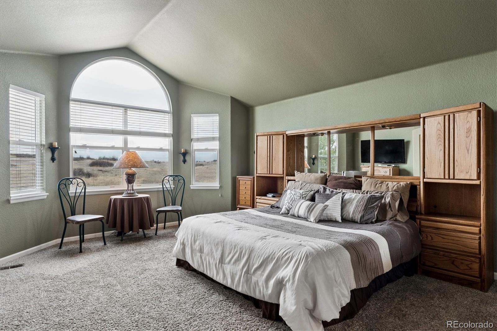 MLS Image #15 for 6977  chestnut court,parker, Colorado