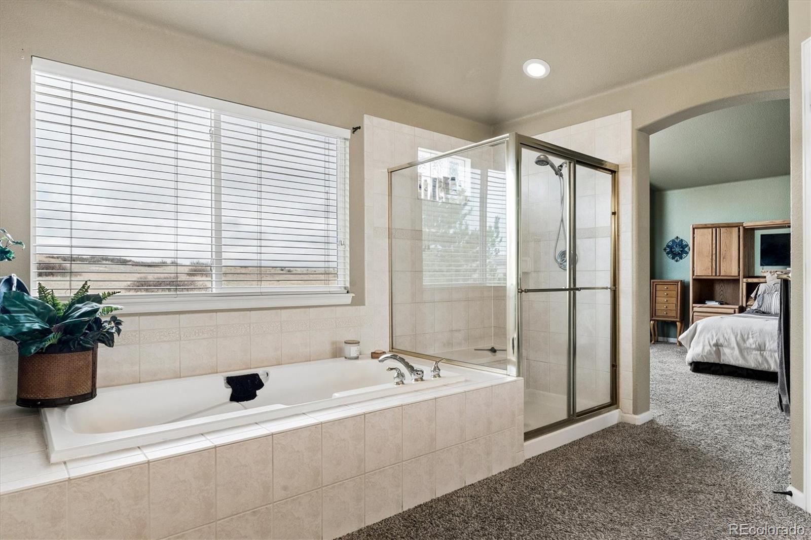 MLS Image #19 for 6977  chestnut court,parker, Colorado