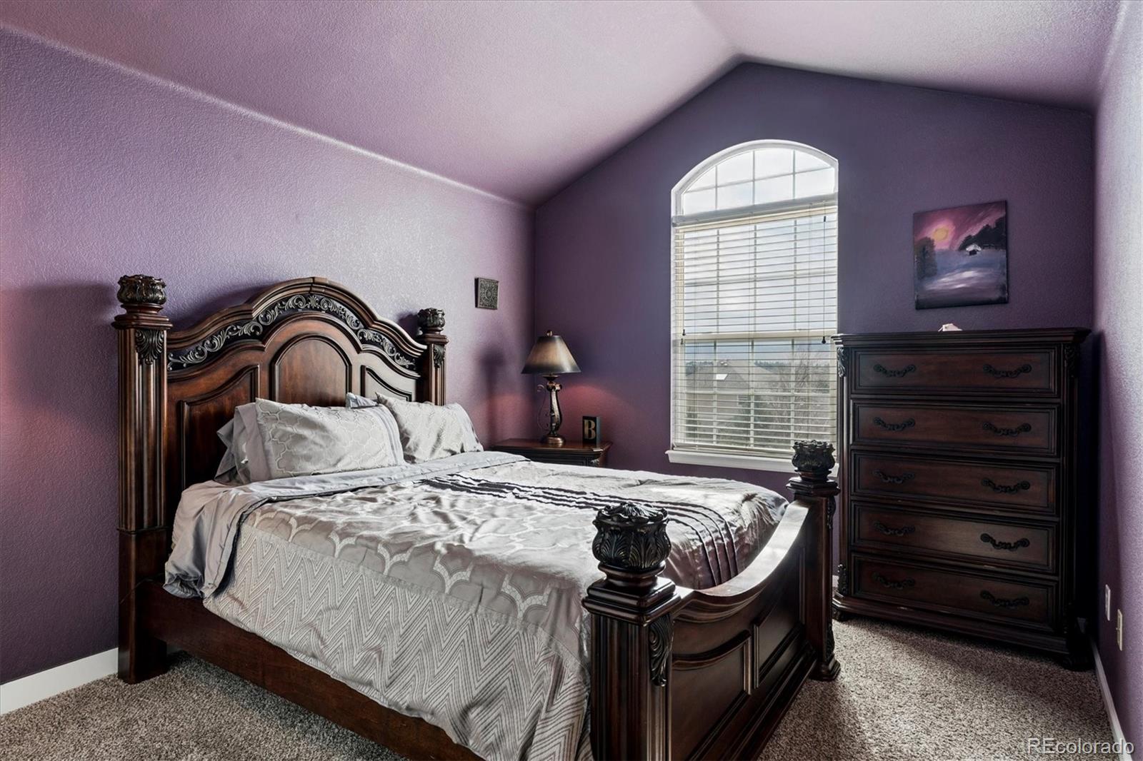 MLS Image #20 for 6977  chestnut court,parker, Colorado
