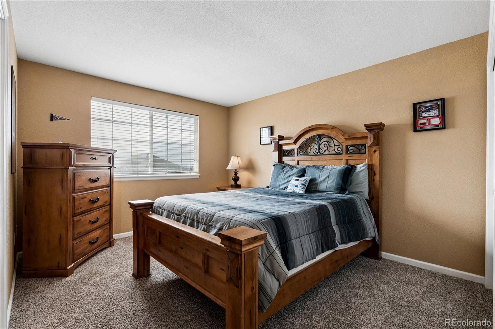 MLS Image #22 for 6977  chestnut court,parker, Colorado