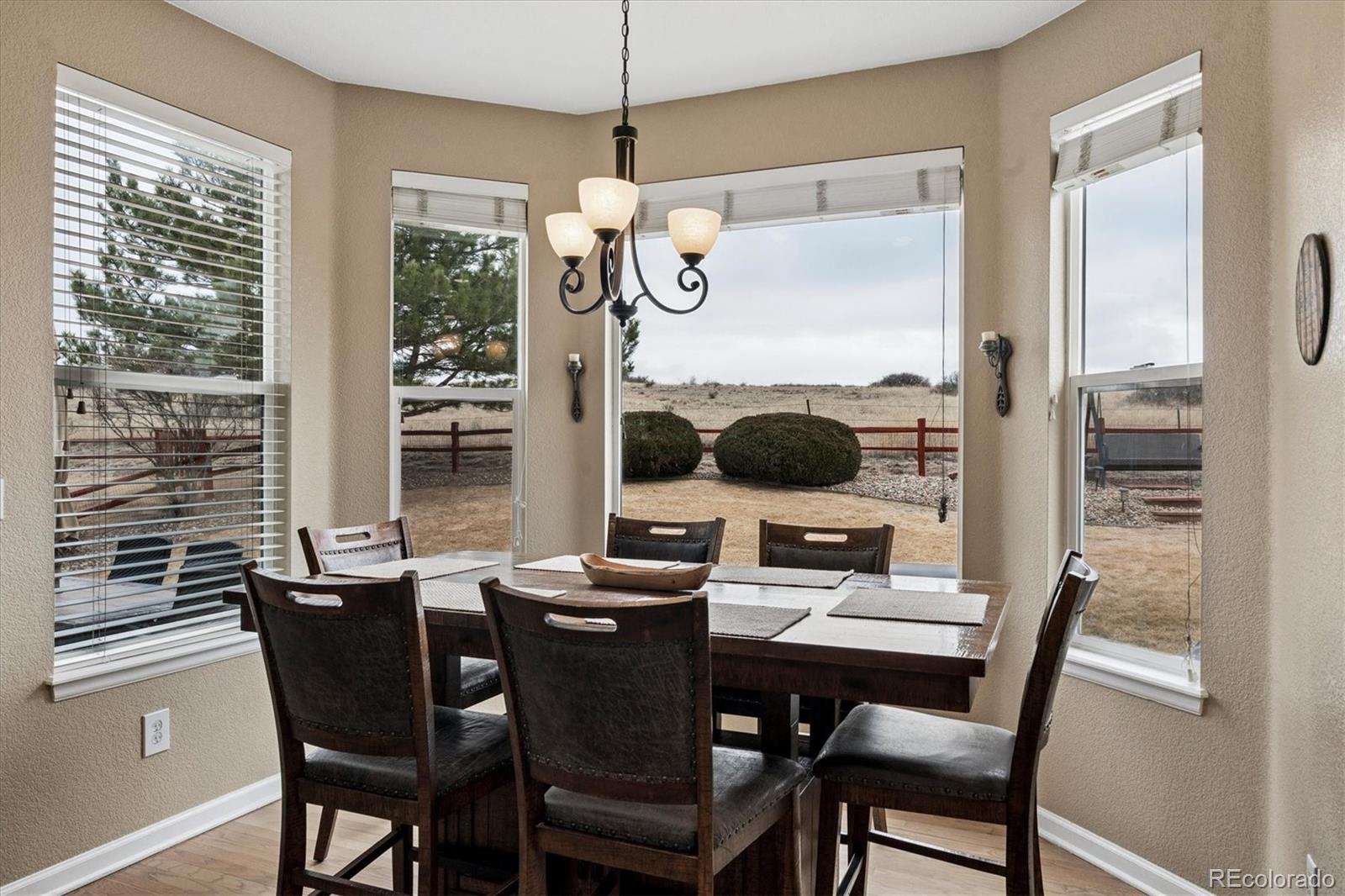 MLS Image #9 for 6977  chestnut court,parker, Colorado