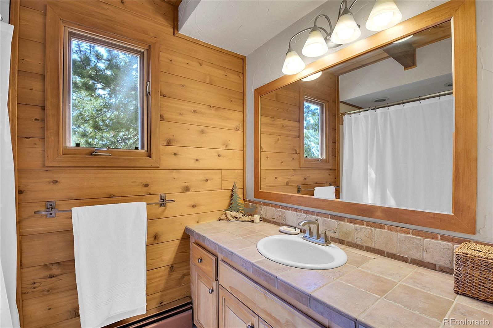 MLS Image #13 for 444  broken arrow road,evergreen, Colorado