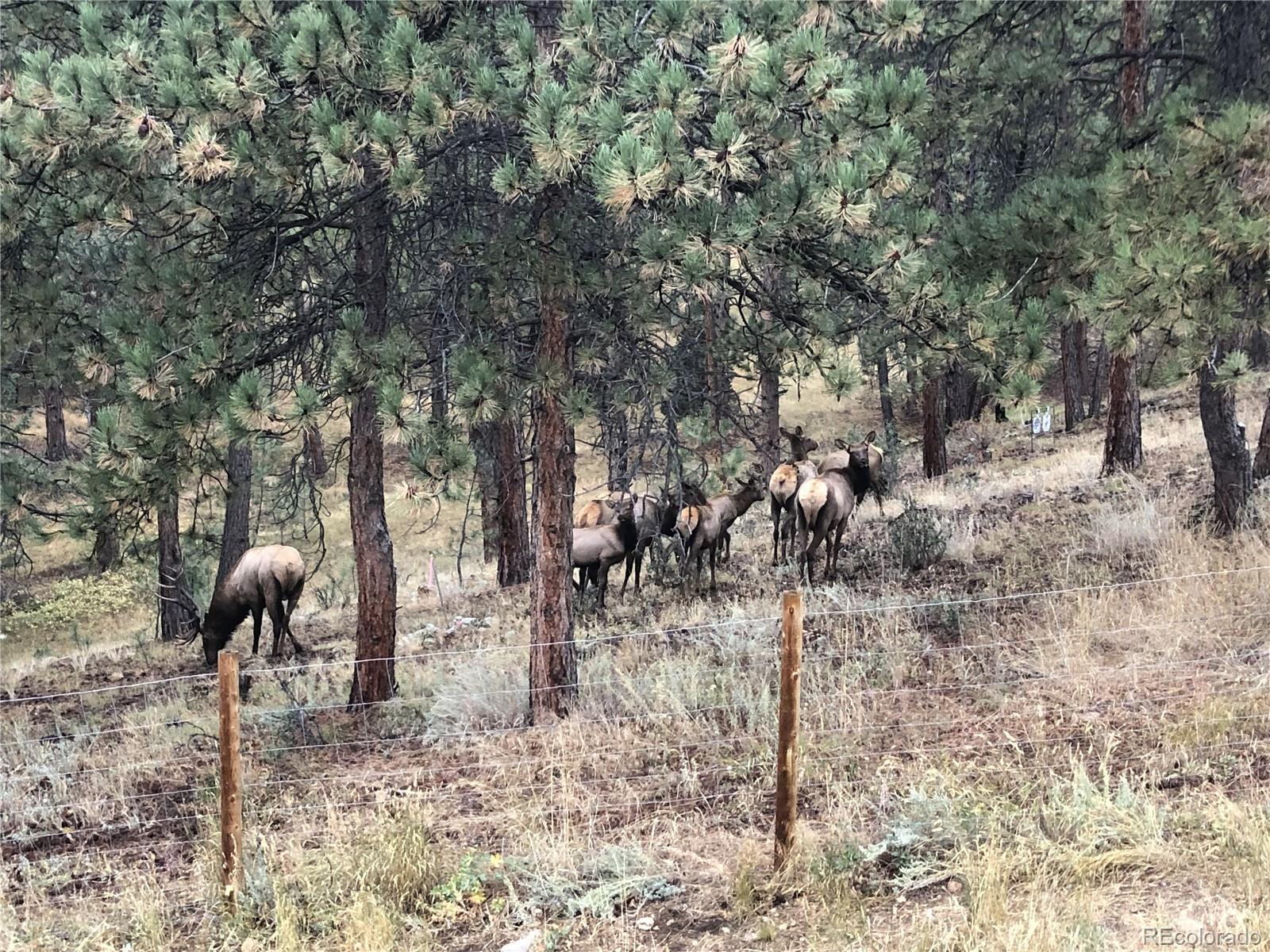 MLS Image #32 for 444  broken arrow road,evergreen, Colorado