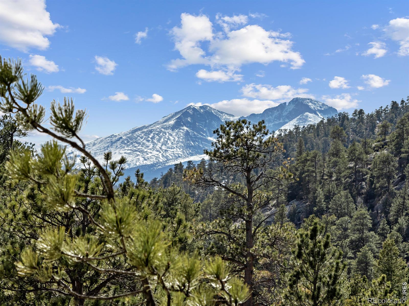 MLS Image #2 for 140  loveland heights lane,drake, Colorado
