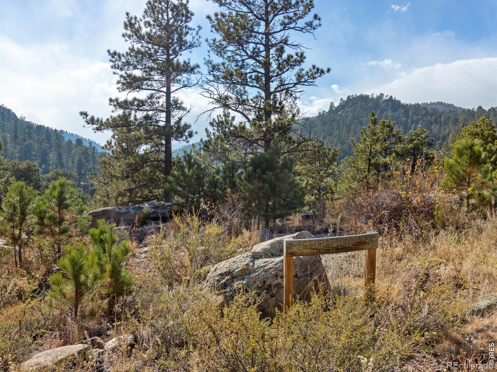 MLS Image #24 for 140  loveland heights lane,drake, Colorado