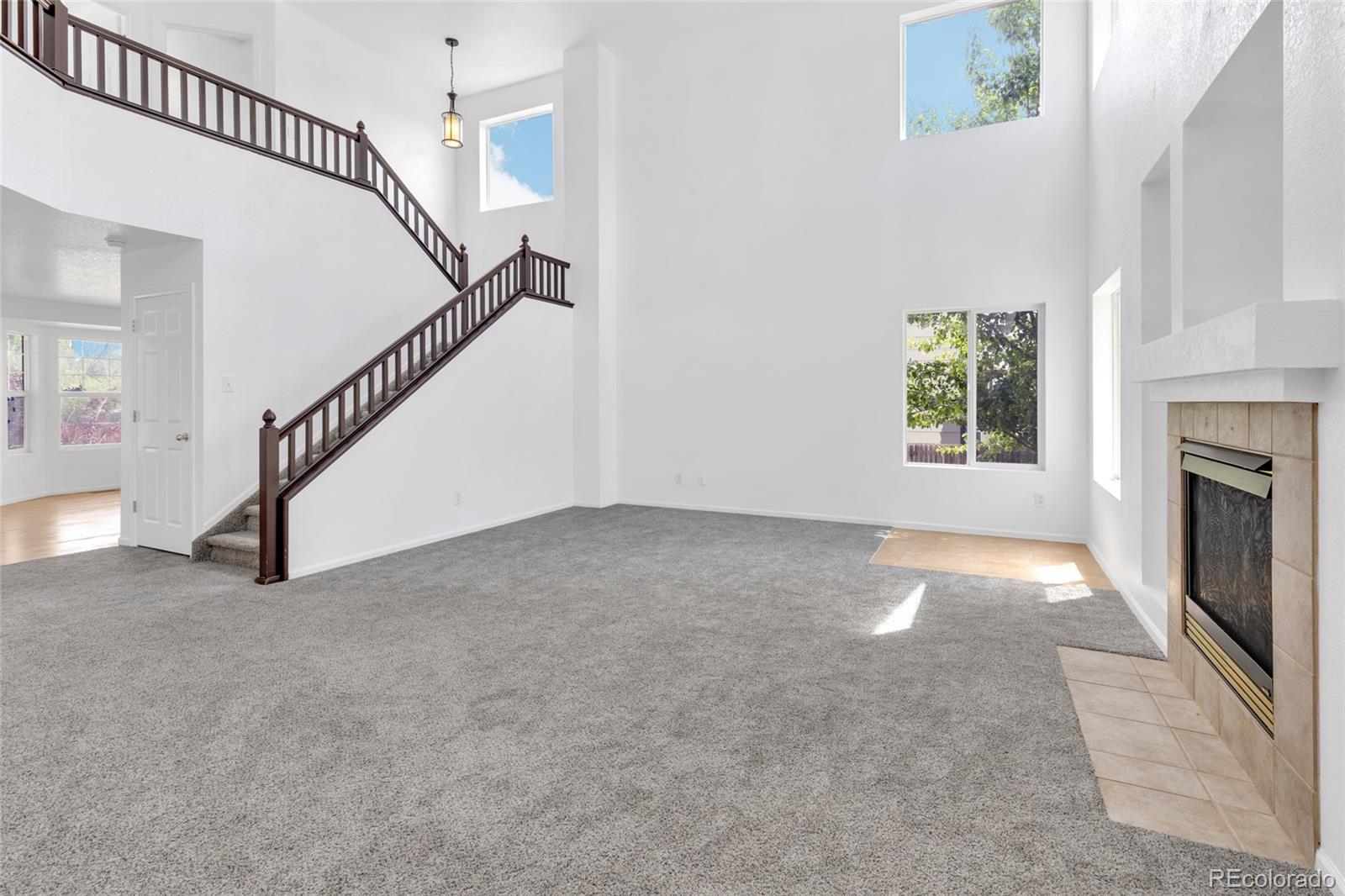 MLS Image #6 for 4762  mt evans street,brighton, Colorado
