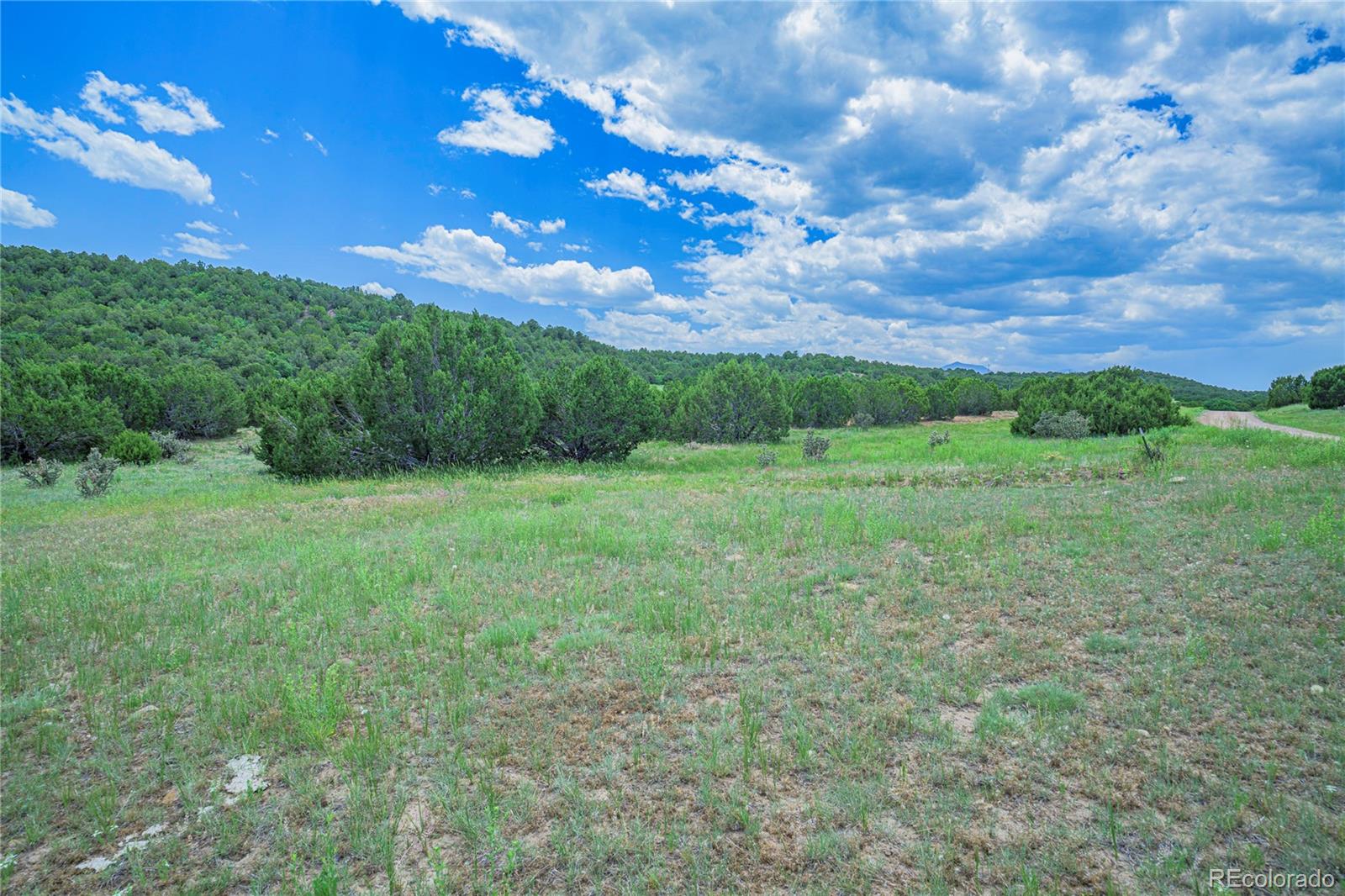MLS Image #42 for 254  sunset court,walsenburg, Colorado