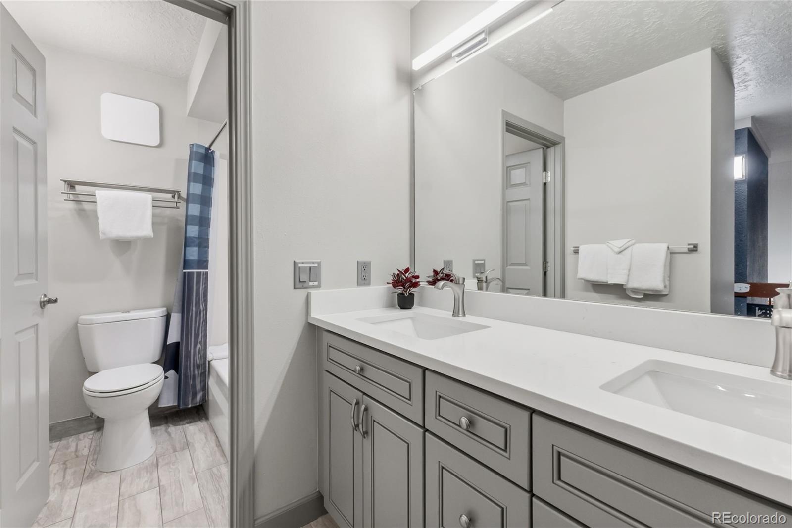 MLS Image #21 for 490  straight creek drive,dillon, Colorado