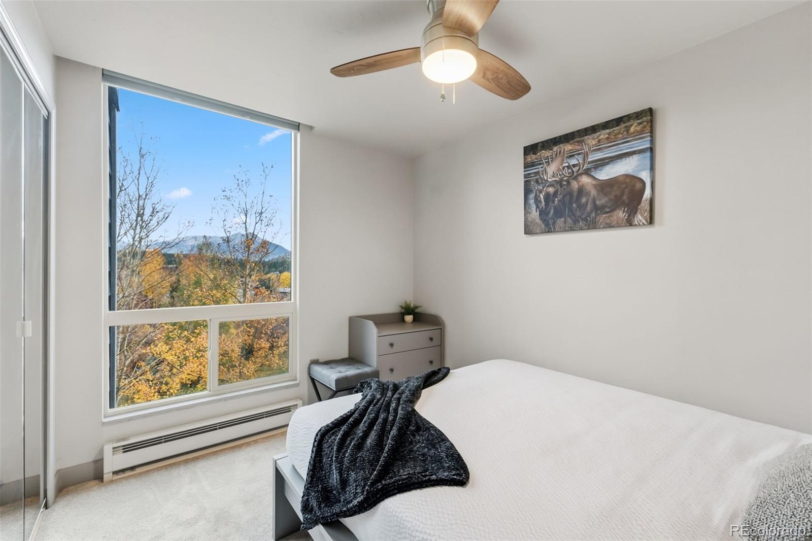 MLS Image #29 for 490  straight creek drive,dillon, Colorado