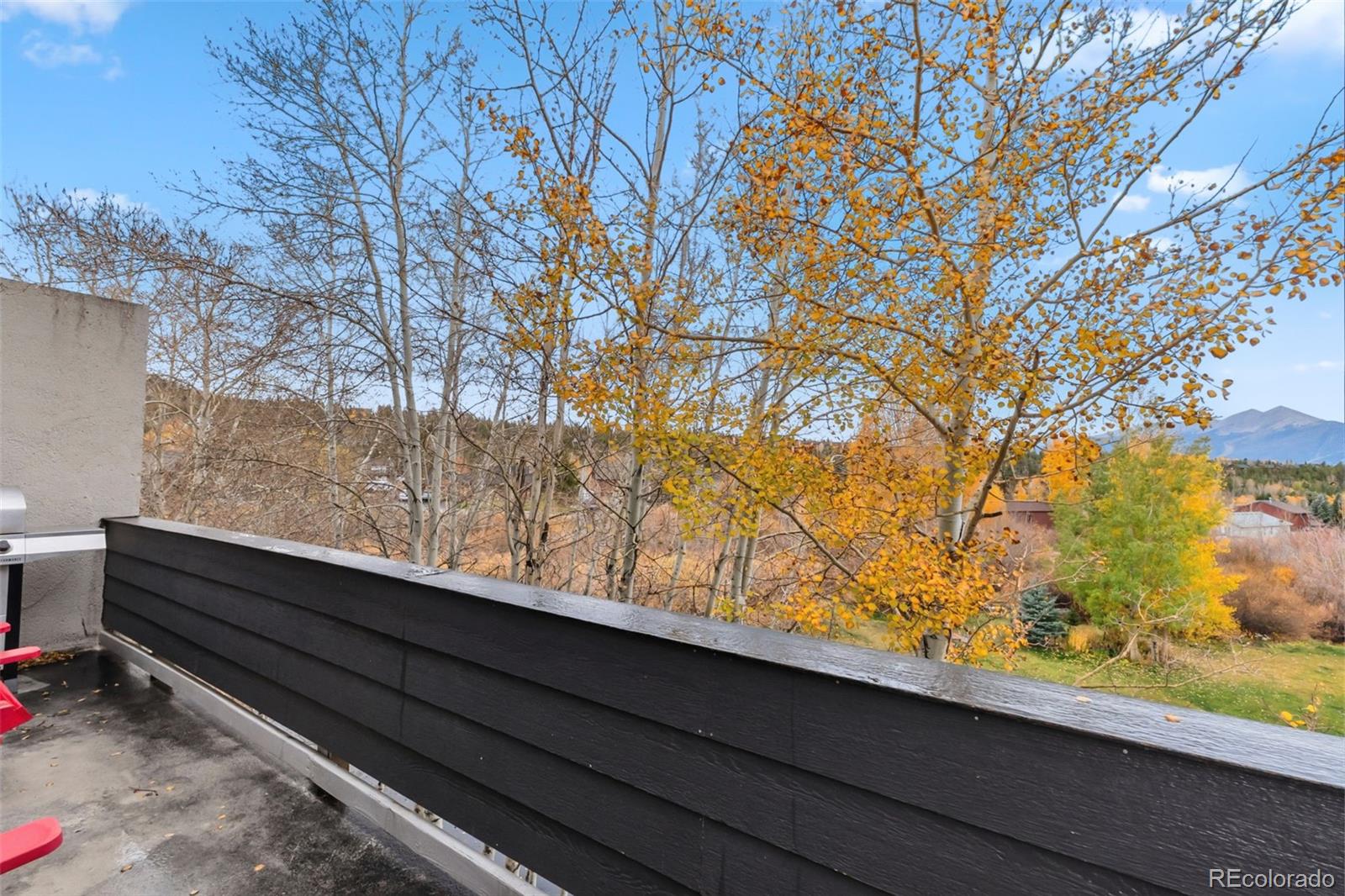 MLS Image #33 for 490  straight creek drive,dillon, Colorado