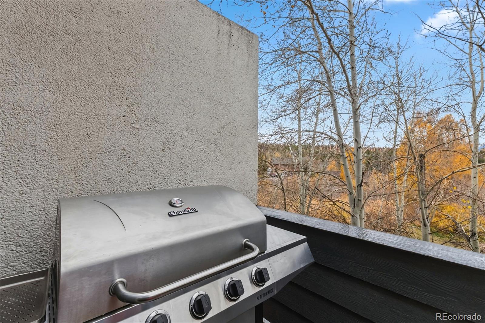 MLS Image #34 for 490  straight creek drive,dillon, Colorado