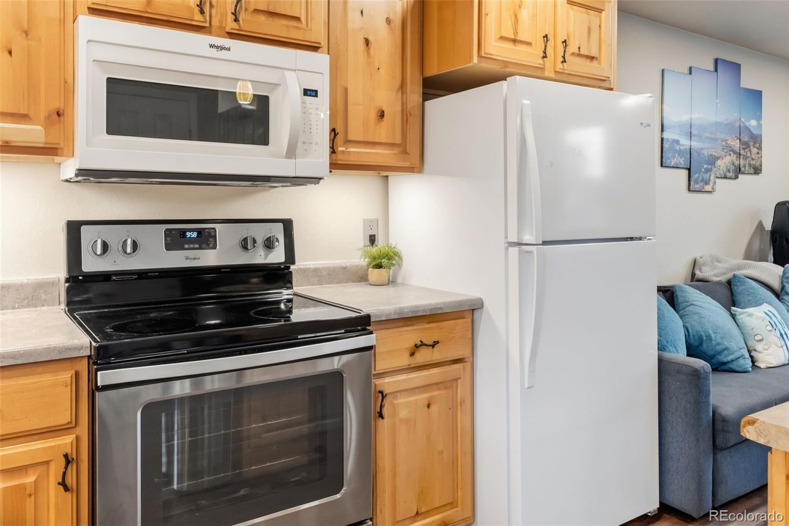 MLS Image #8 for 490  straight creek drive,dillon, Colorado