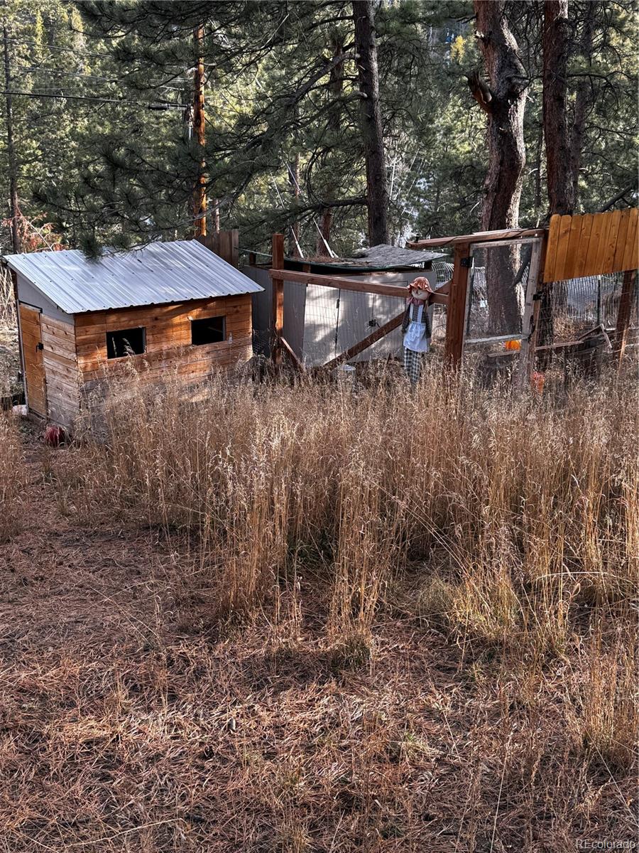 MLS Image #22 for 10627  twin spruce road,golden, Colorado