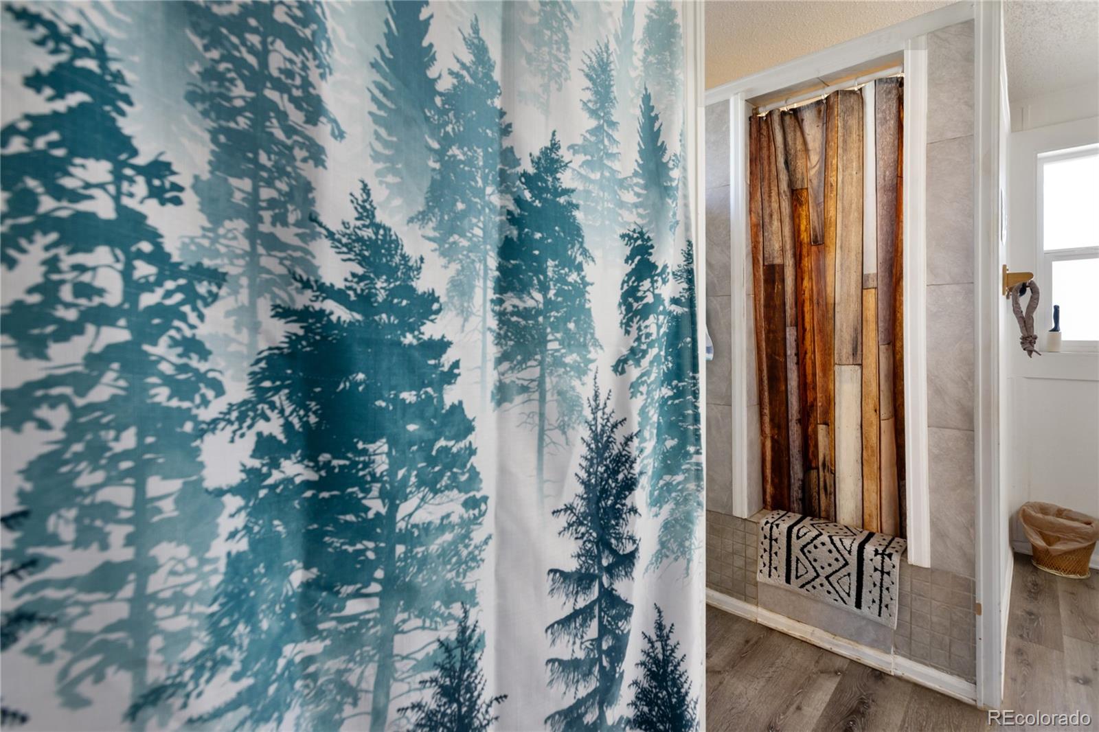 MLS Image #15 for 311 w eaton avenue,cripple creek, Colorado