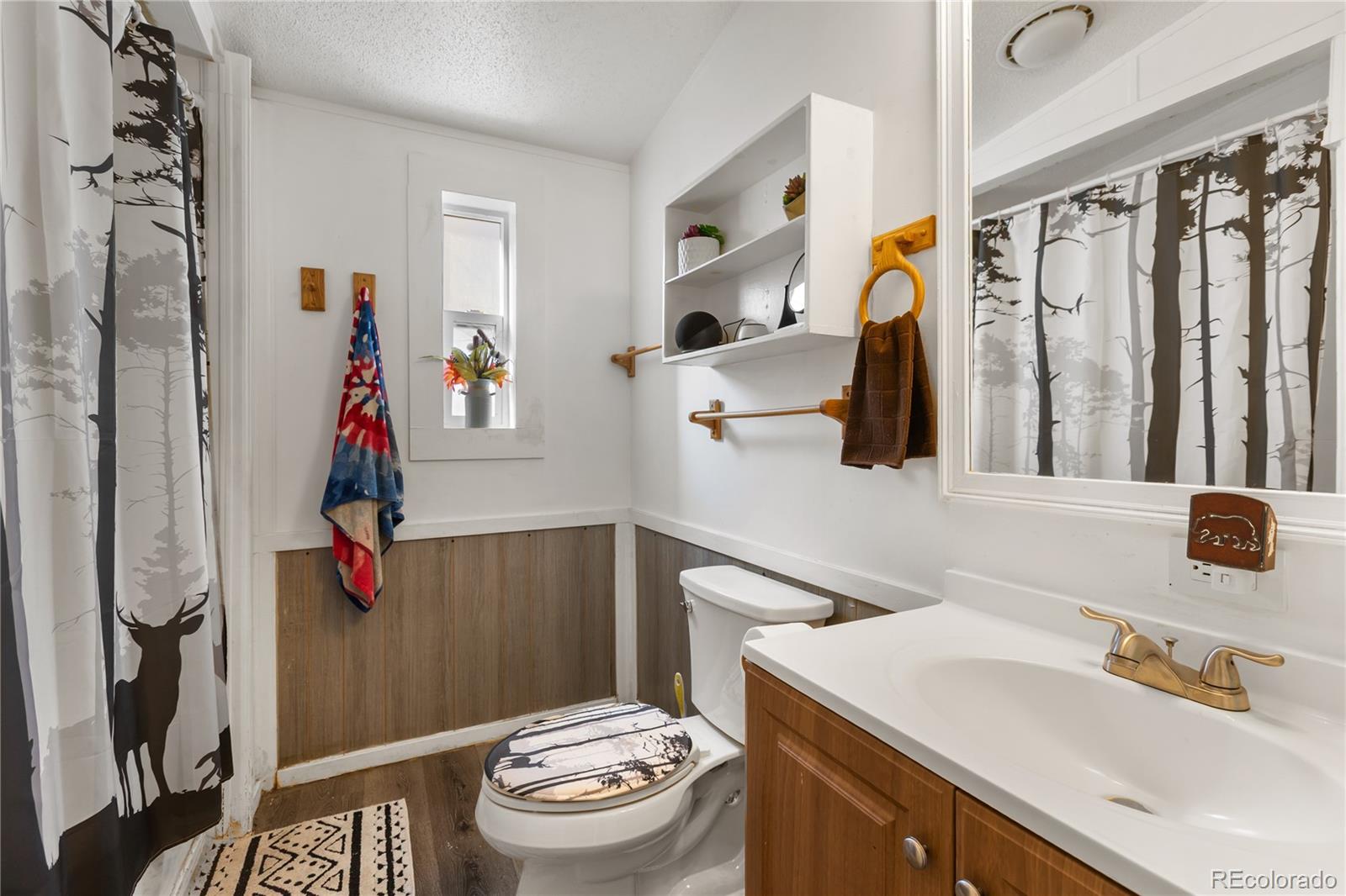 MLS Image #21 for 311 w eaton avenue,cripple creek, Colorado