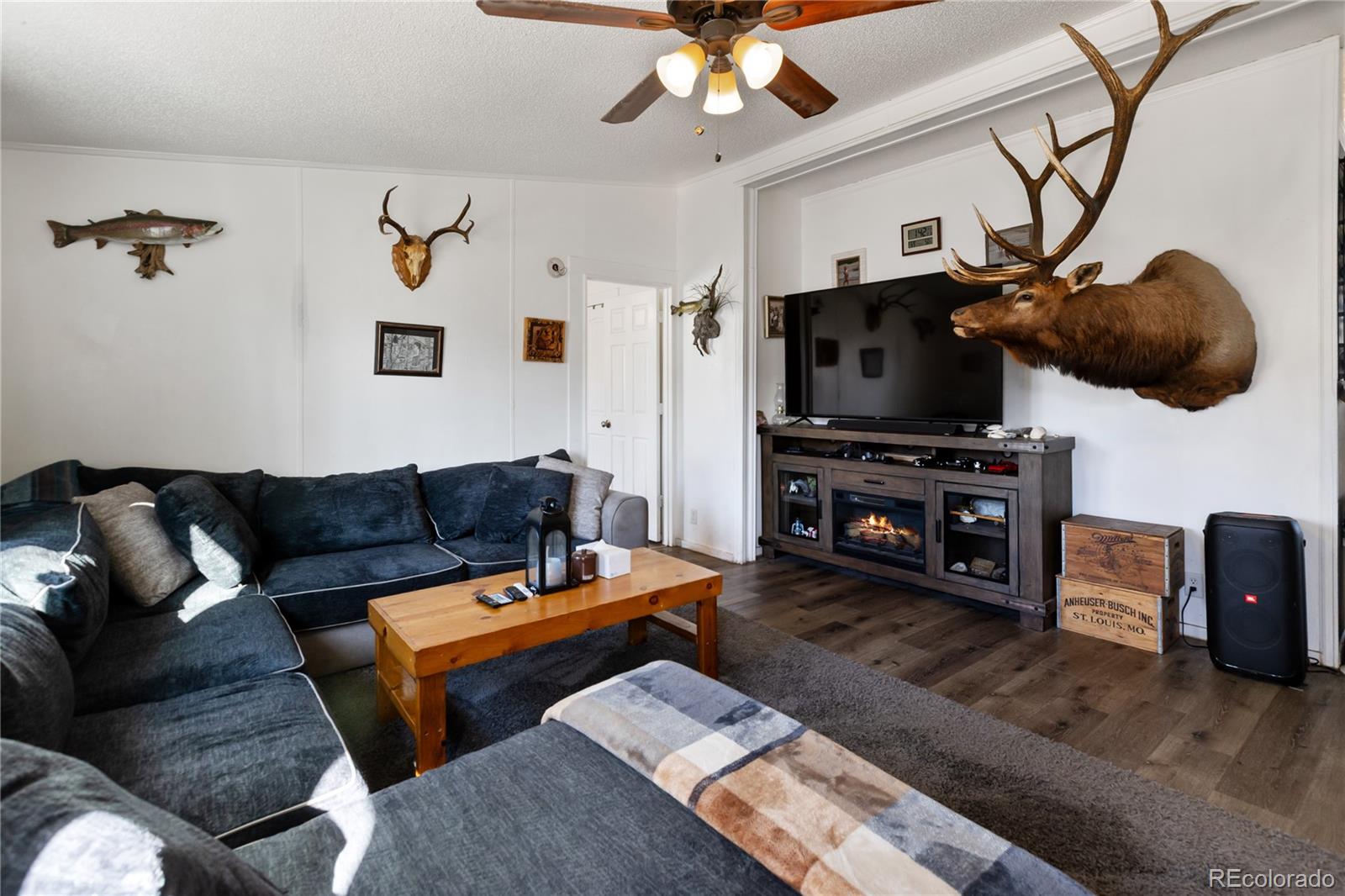 MLS Image #6 for 311 w eaton avenue,cripple creek, Colorado