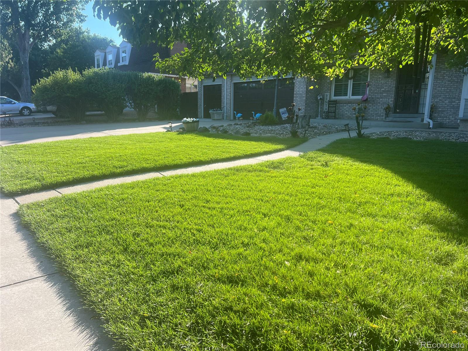 MLS Image #3 for 20197  aintree court,parker, Colorado
