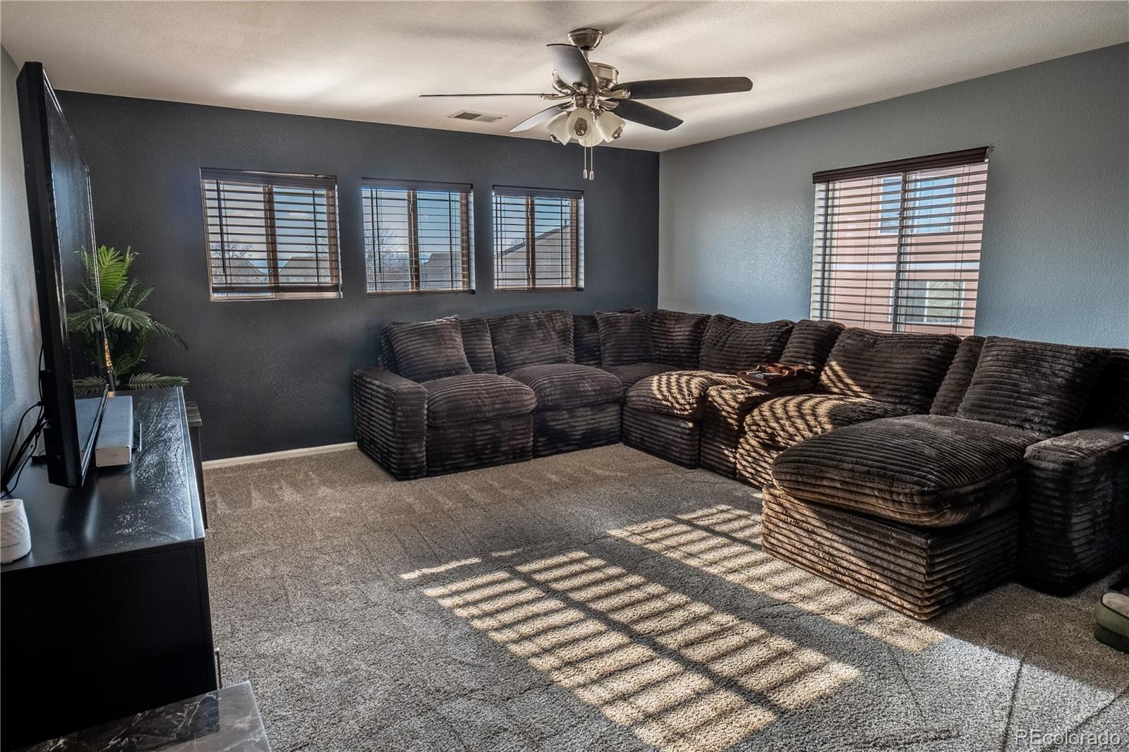 MLS Image #19 for 5188  netherland street,denver, Colorado