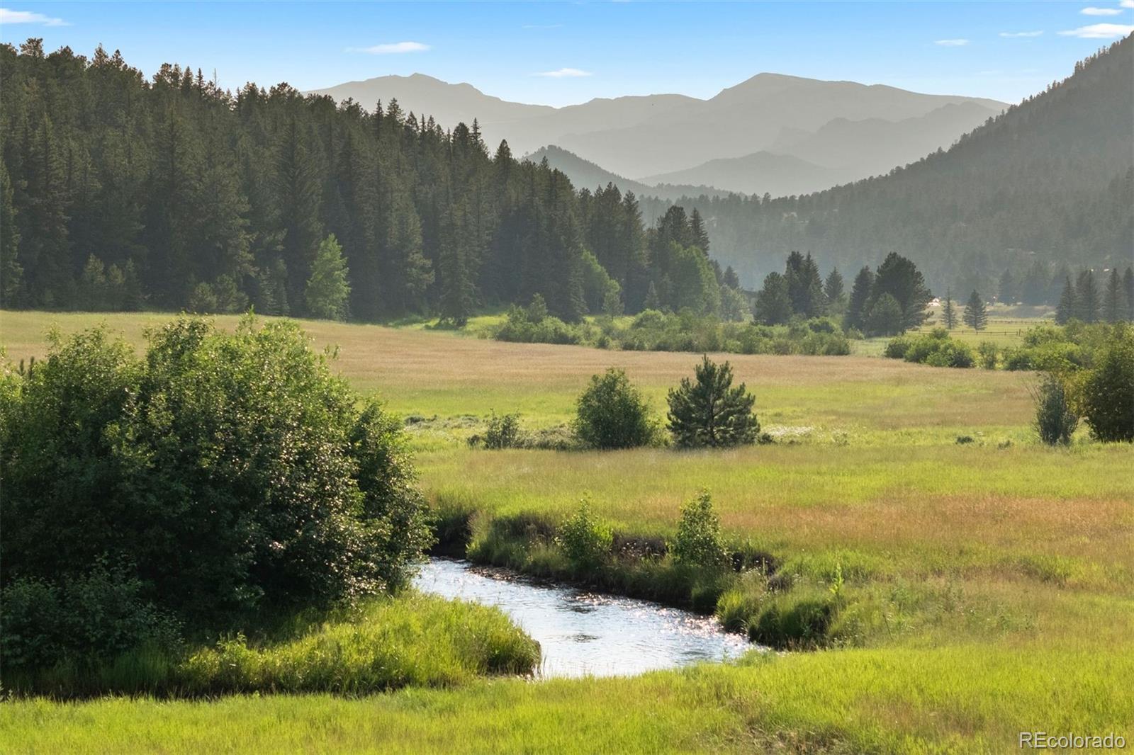 MLS Image #3 for 80  elk crossing,evergreen, Colorado