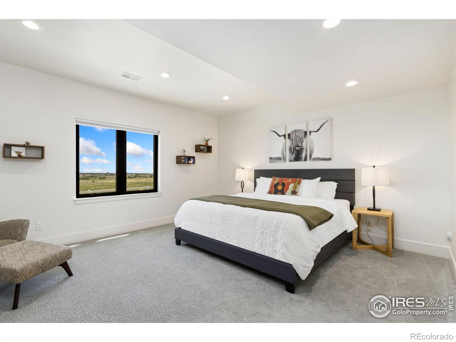 MLS Image #34 for 3802  bridle ridge circle,severance, Colorado