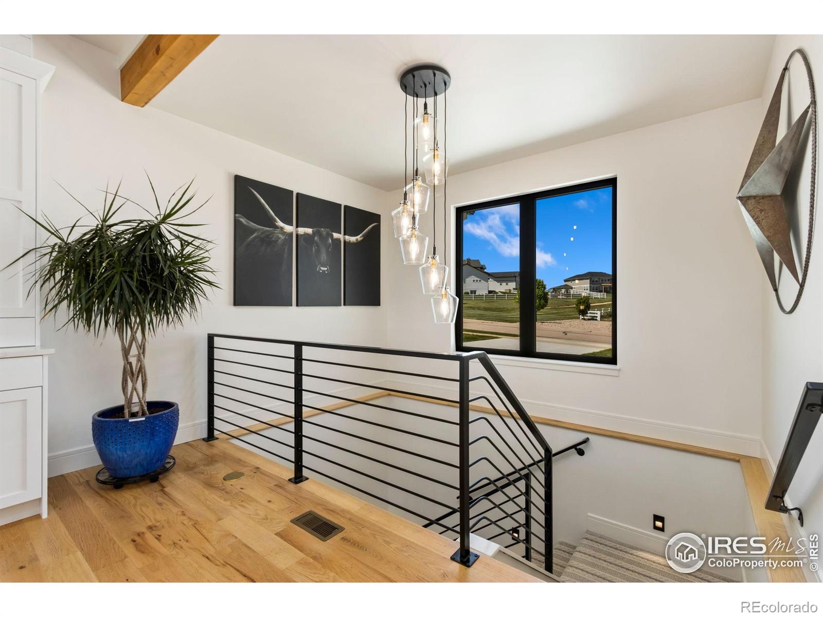 MLS Image #8 for 3802  bridle ridge circle,severance, Colorado