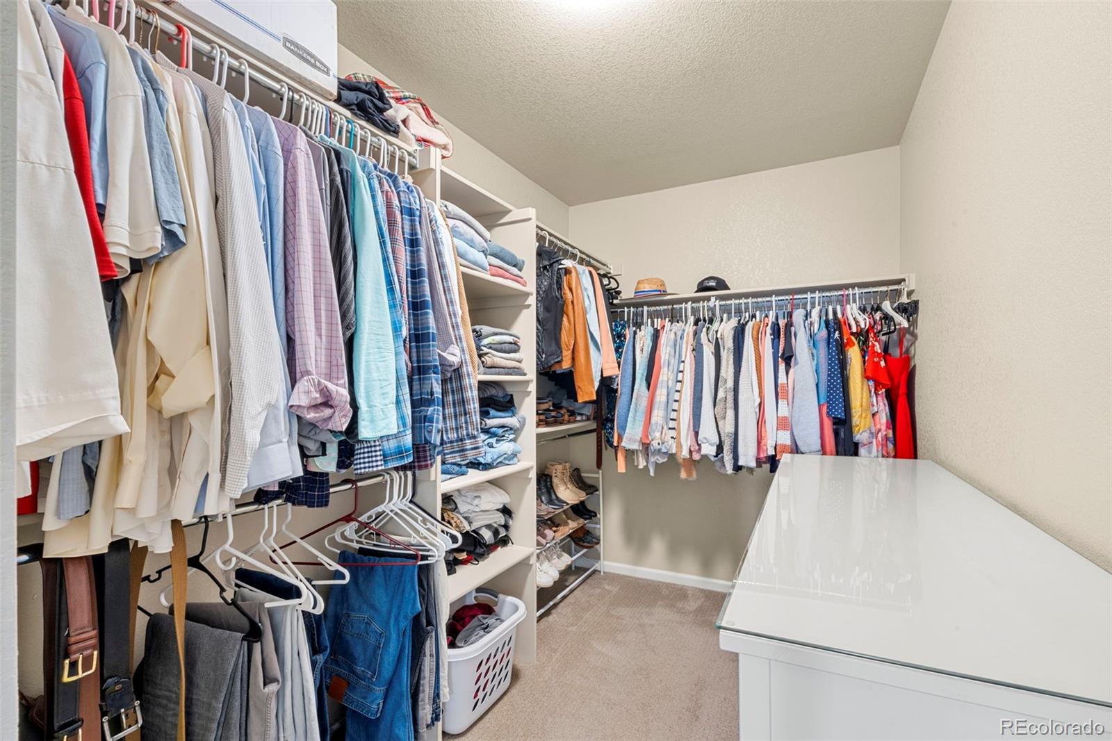 MLS Image #19 for 11235 s neu towne circle,parker, Colorado