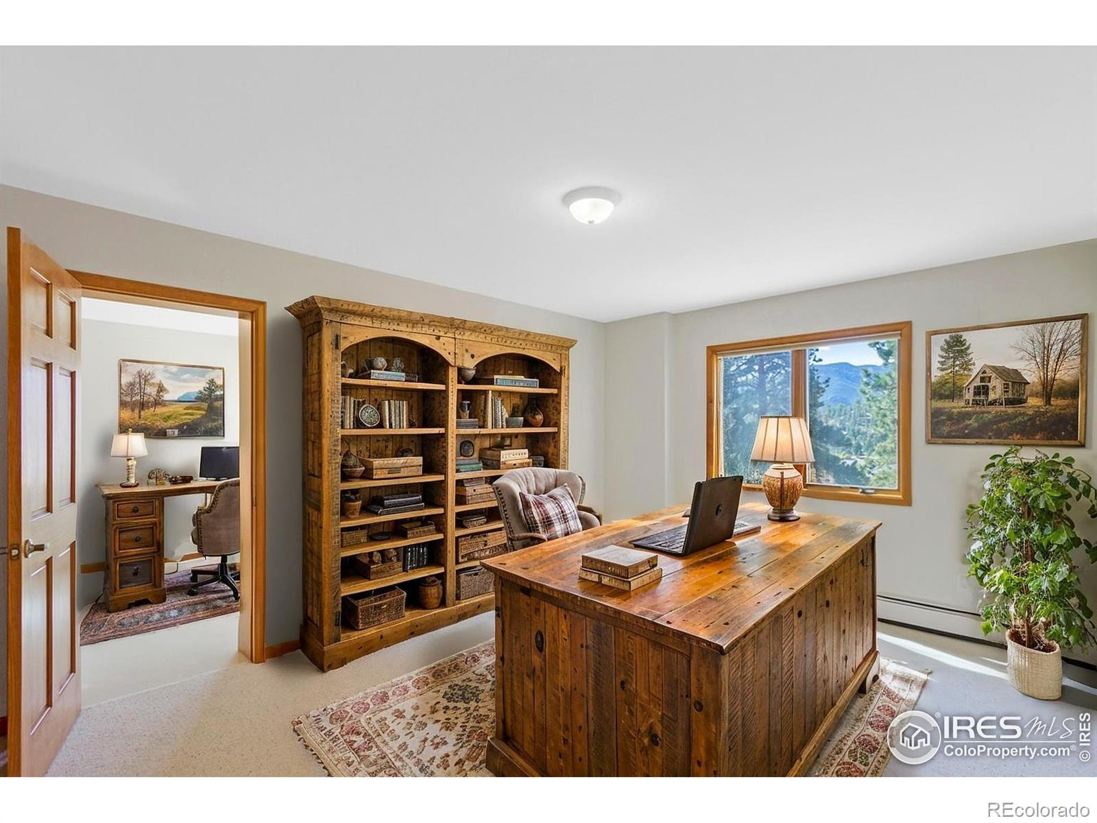 MLS Image #31 for 272  solomon drive,estes park, Colorado