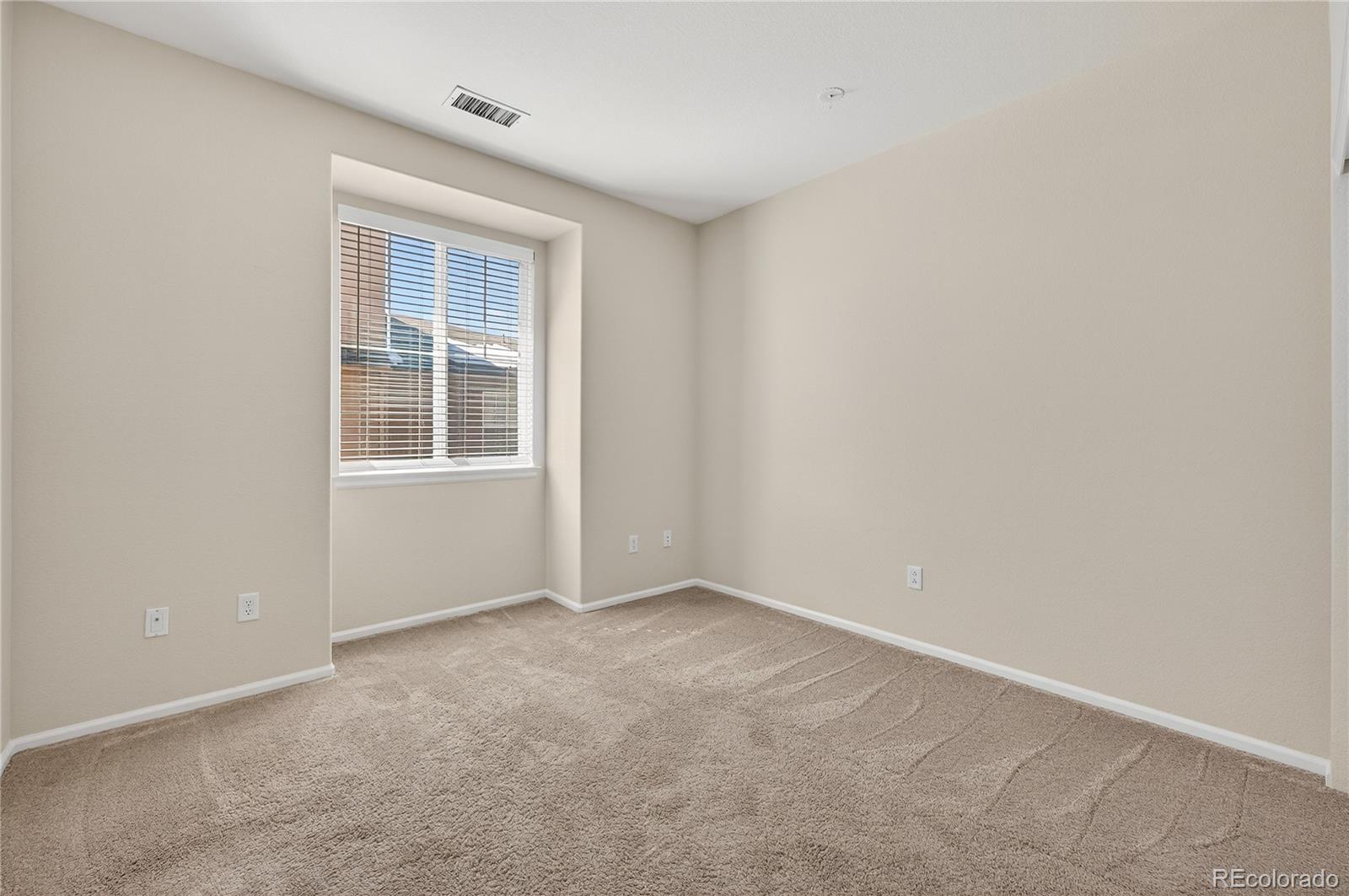 MLS Image #10 for 10531  ashfield street,highlands ranch, Colorado