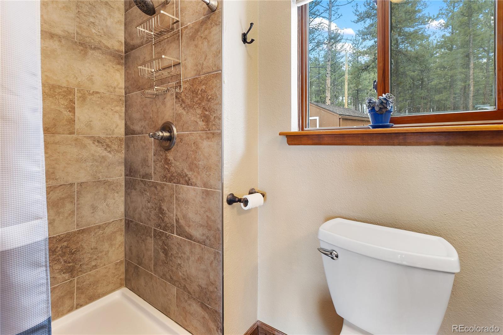 MLS Image #17 for 901  wilson drive,florissant, Colorado