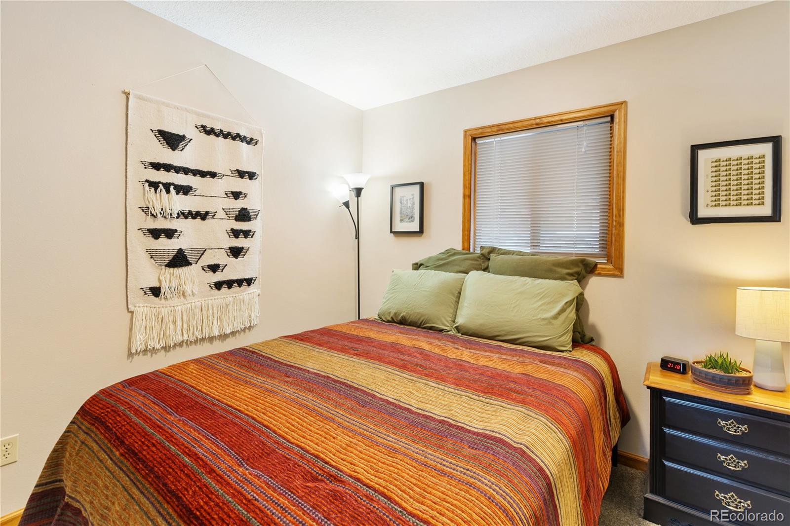 MLS Image #20 for 901  wilson drive,florissant, Colorado