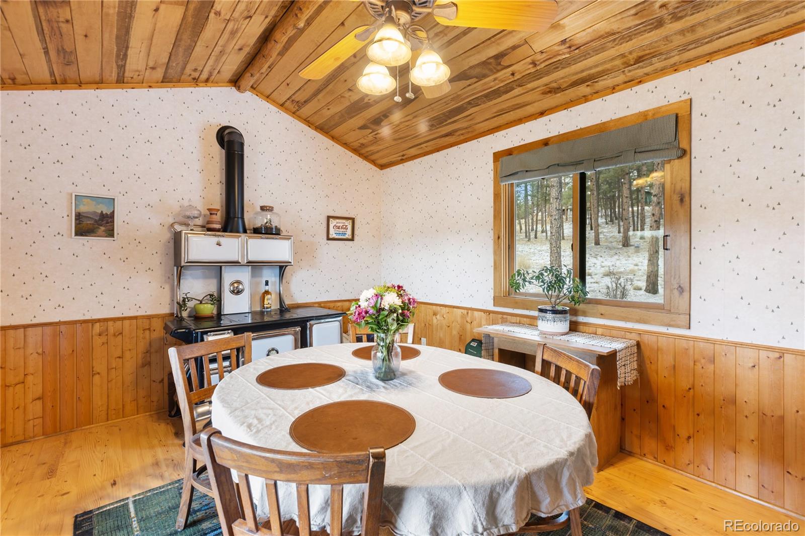 MLS Image #21 for 901  wilson drive,florissant, Colorado