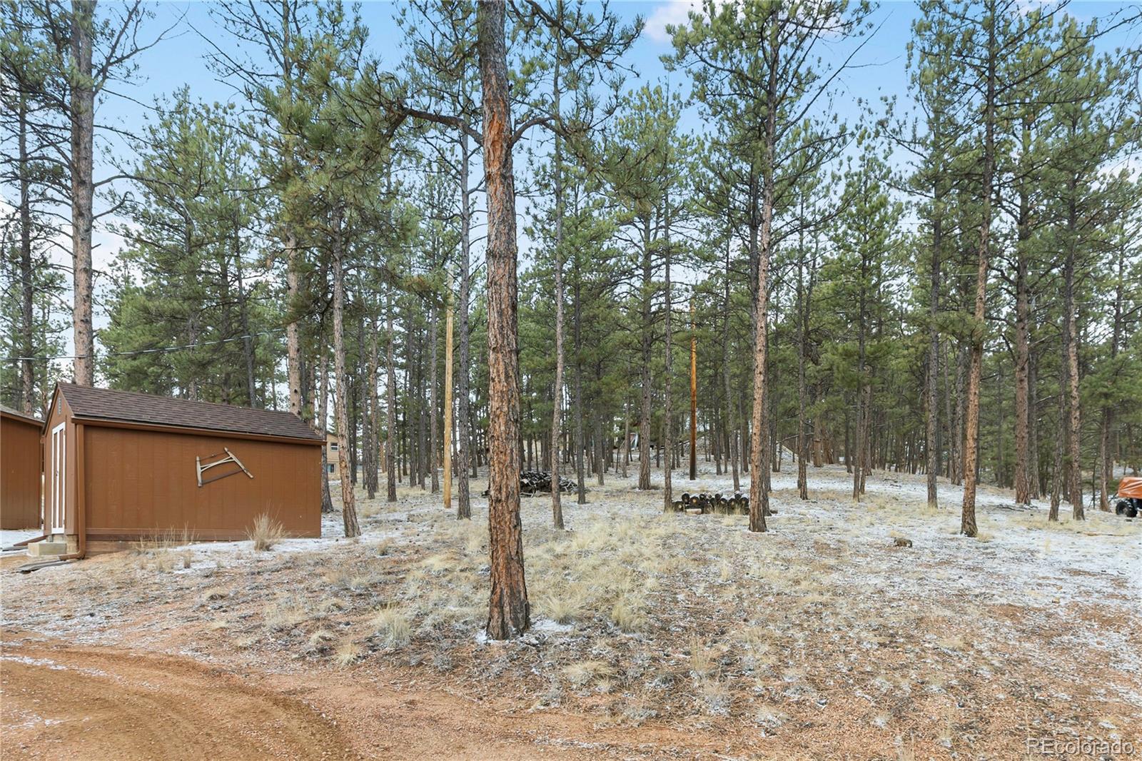 MLS Image #29 for 901  wilson drive,florissant, Colorado