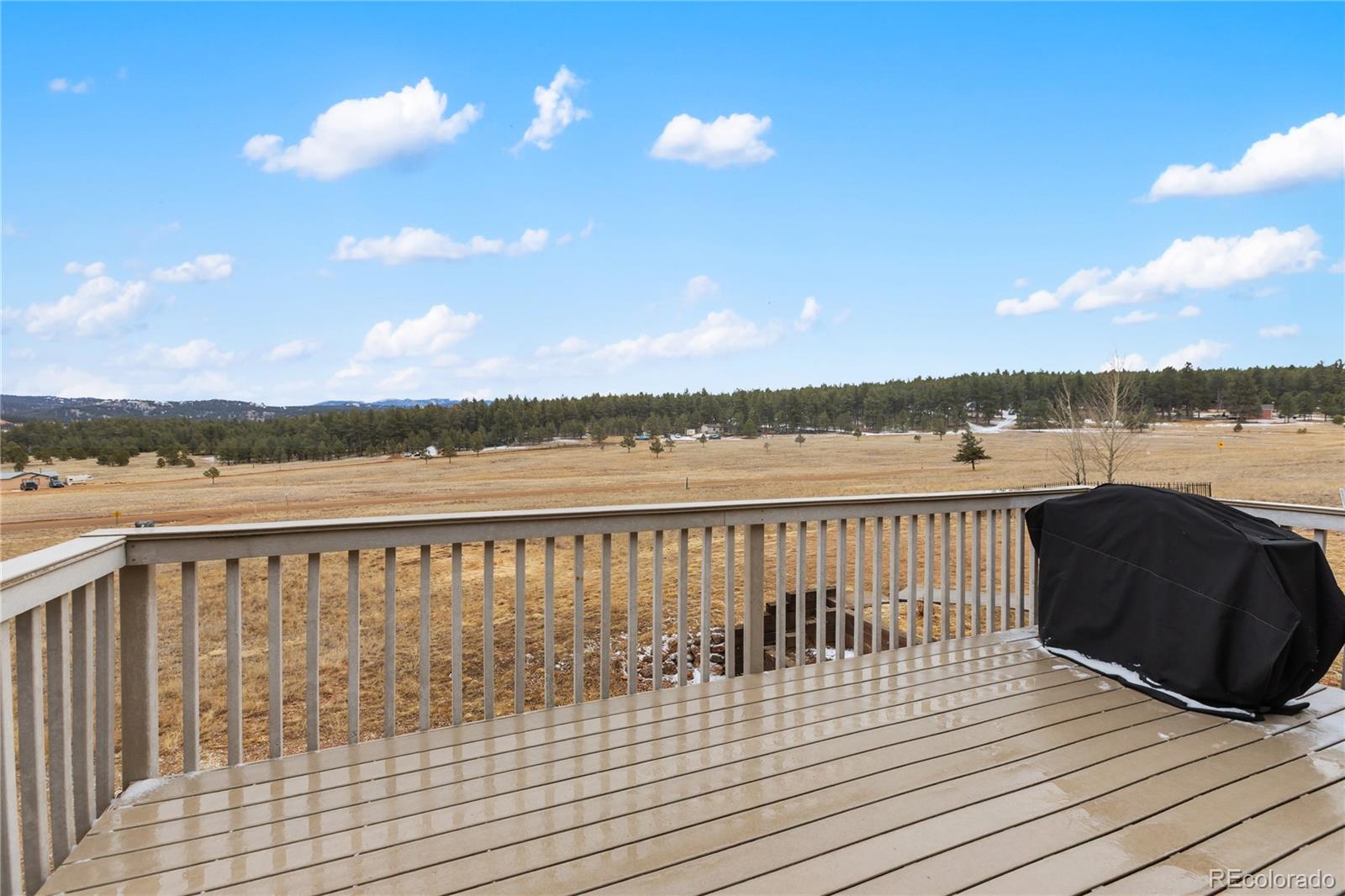 MLS Image #3 for 901  wilson drive,florissant, Colorado