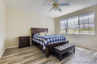 MLS Image #6 for 9836 w freiburg drive,littleton, Colorado