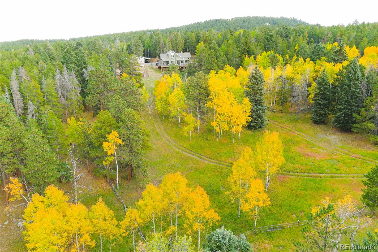 MLS Image #1 for 27987  richmond hill road,conifer, Colorado