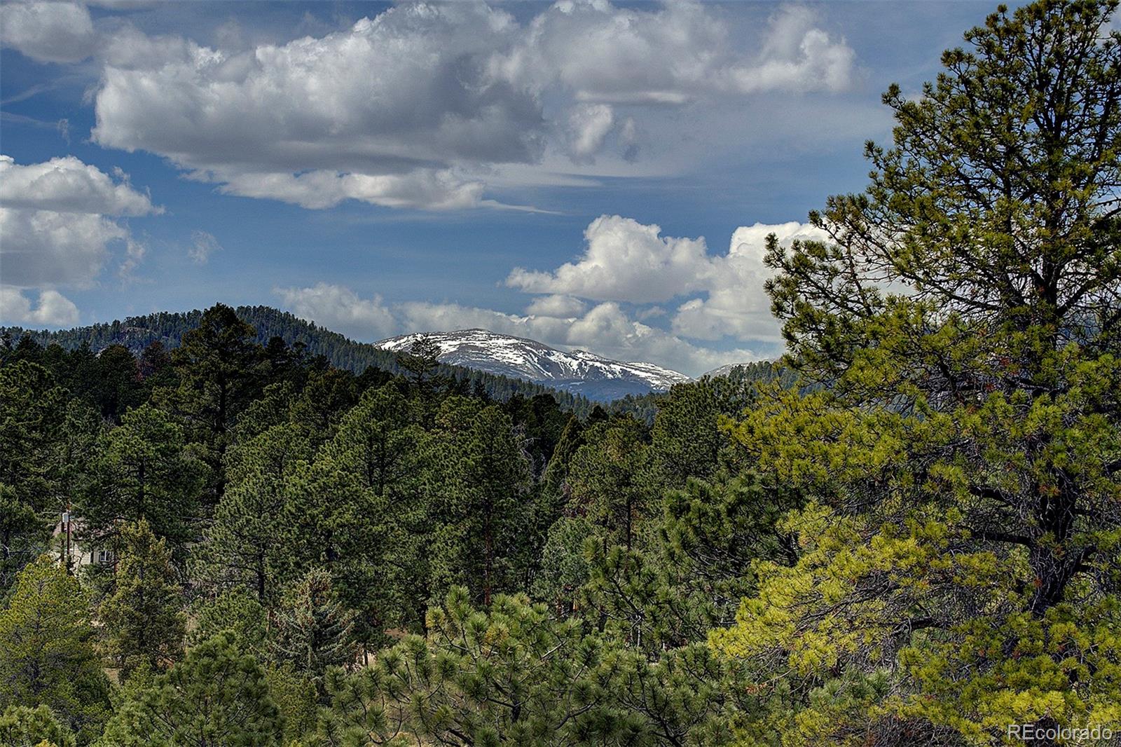 MLS Image #24 for 27987  richmond hill road,conifer, Colorado
