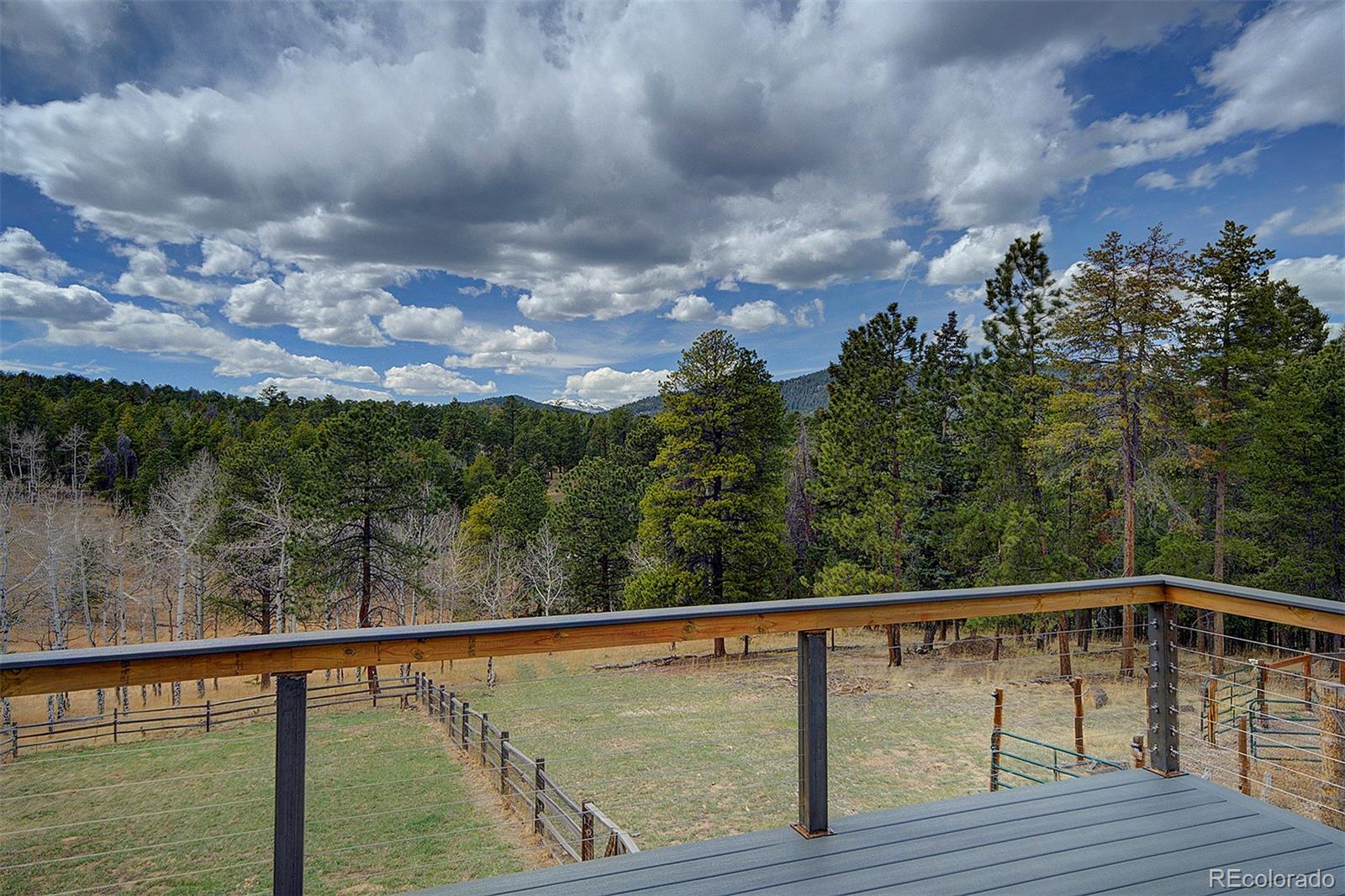 MLS Image #25 for 27987  richmond hill road,conifer, Colorado