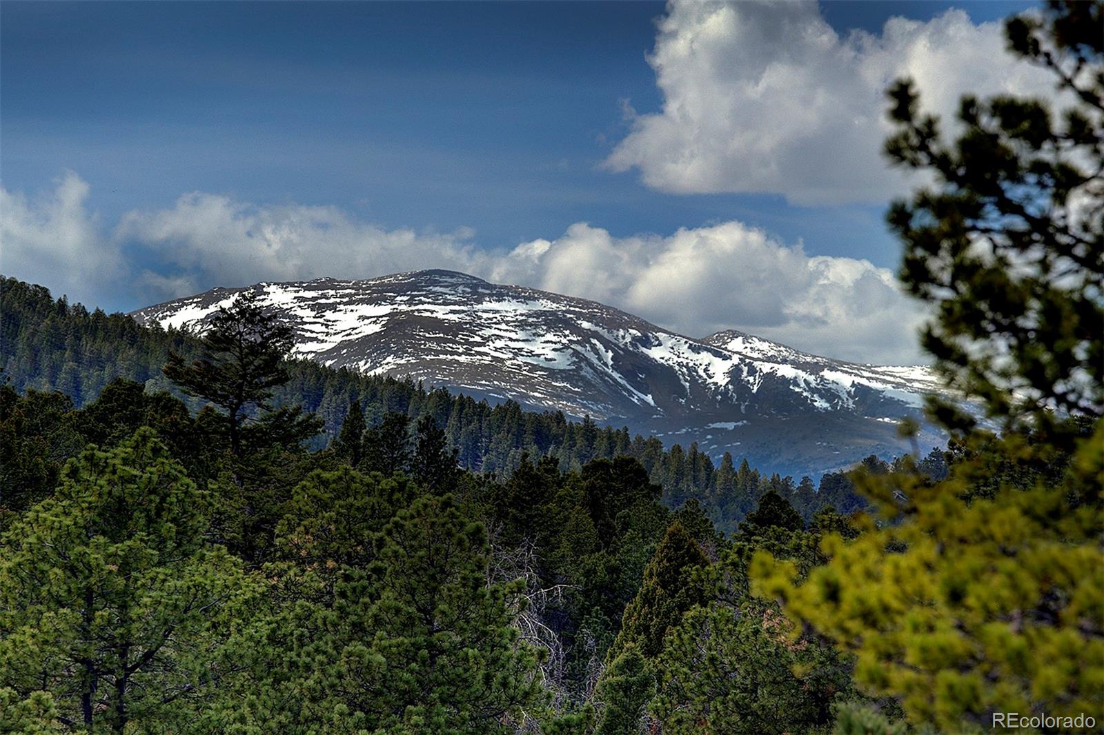 MLS Image #3 for 27987  richmond hill road,conifer, Colorado