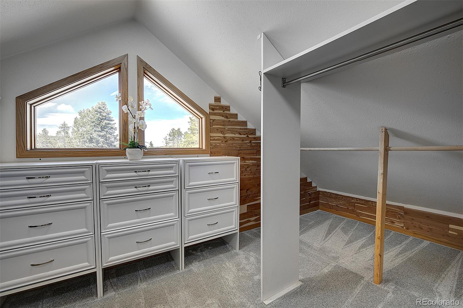 MLS Image #35 for 27987  richmond hill road,conifer, Colorado