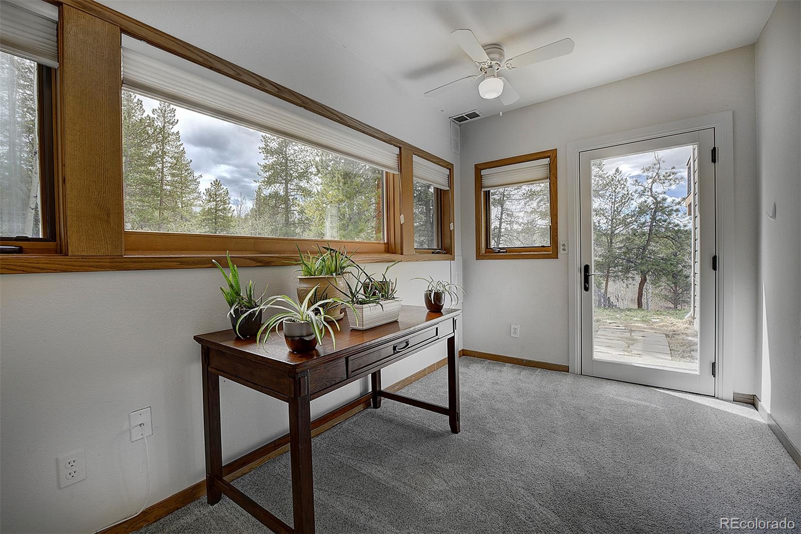 MLS Image #43 for 27987  richmond hill road,conifer, Colorado
