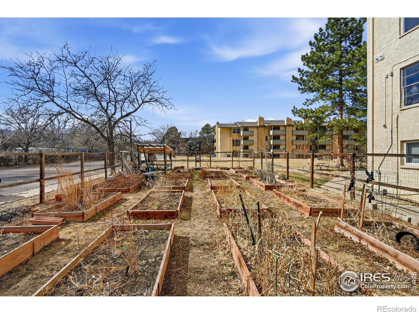 MLS Image #30 for 3030  oneal parkway,boulder, Colorado