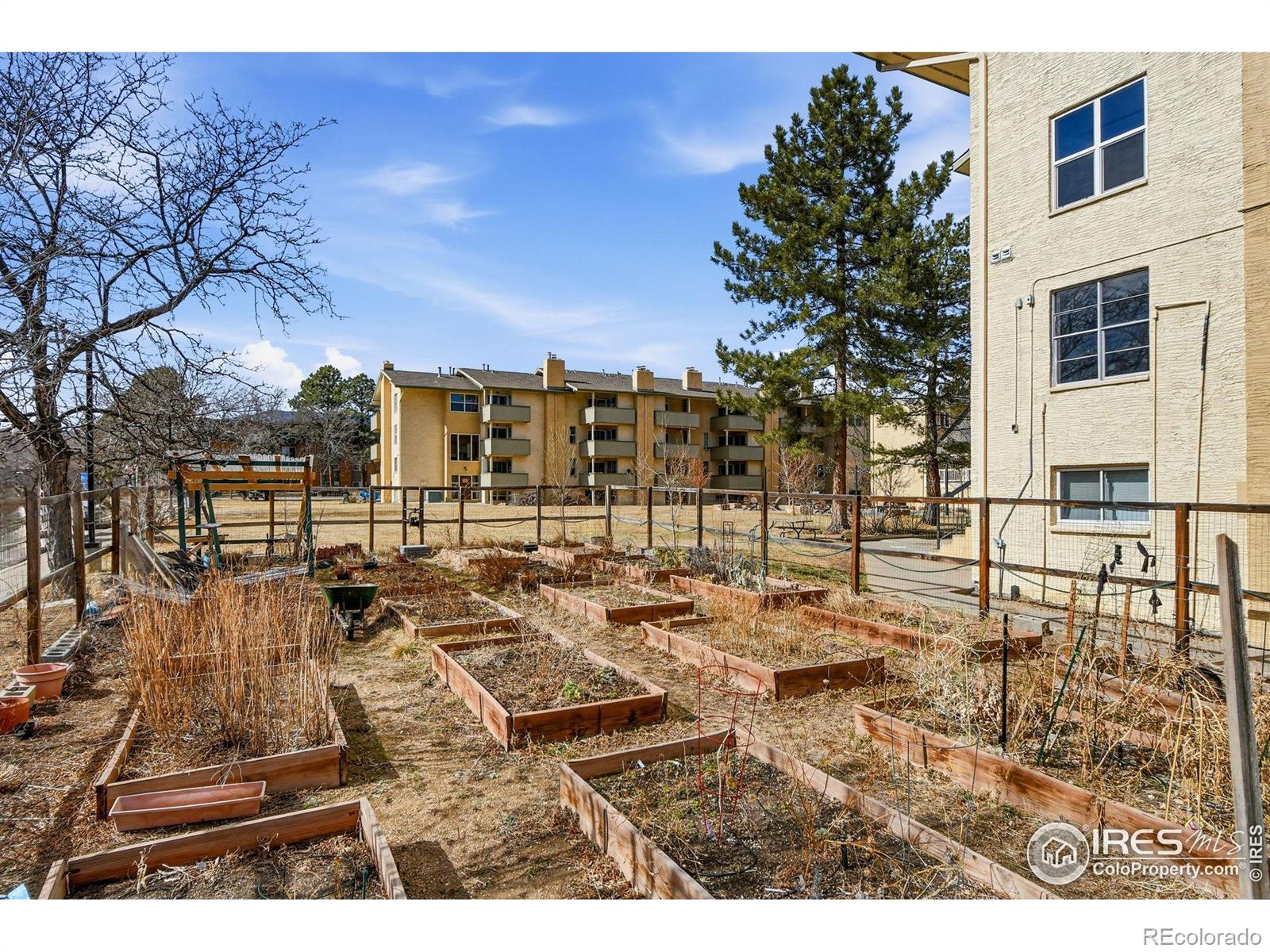 MLS Image #31 for 3030  oneal parkway,boulder, Colorado