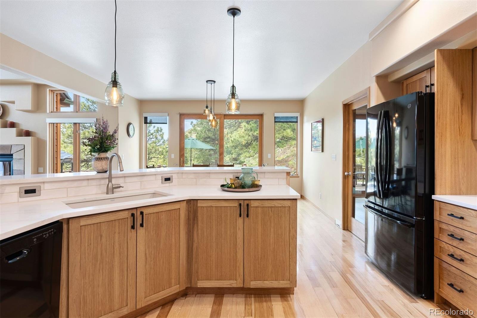 MLS Image #11 for 33095  bergen mountain road,evergreen, Colorado