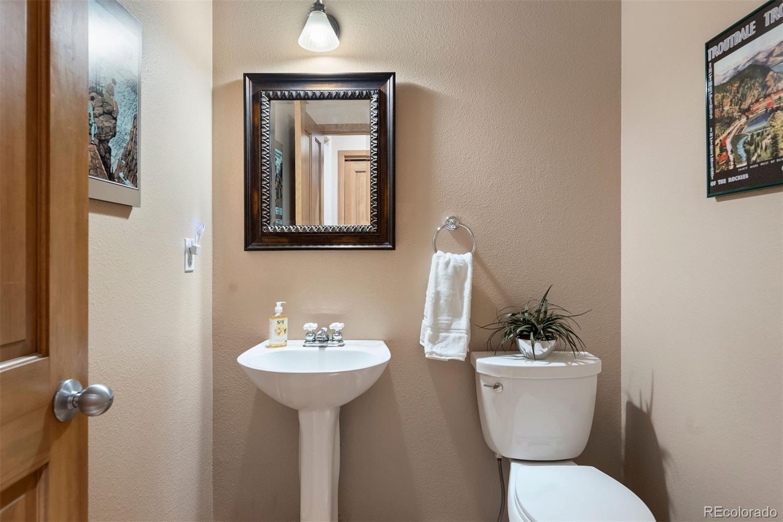 MLS Image #24 for 33095  bergen mountain road,evergreen, Colorado