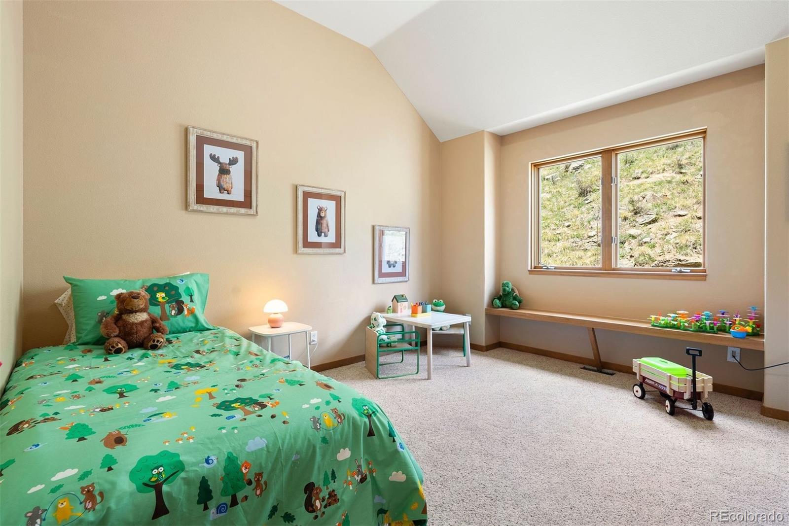 MLS Image #31 for 33095  bergen mountain road,evergreen, Colorado