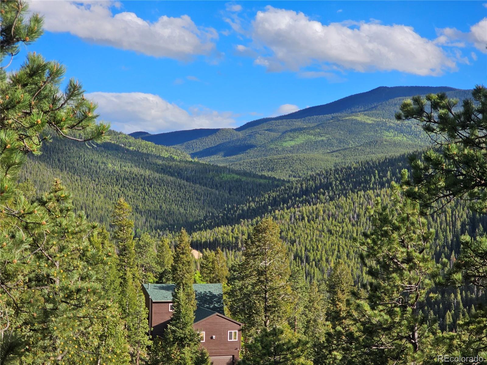 MLS Image #2 for 32783  lodgepole circle,evergreen, Colorado