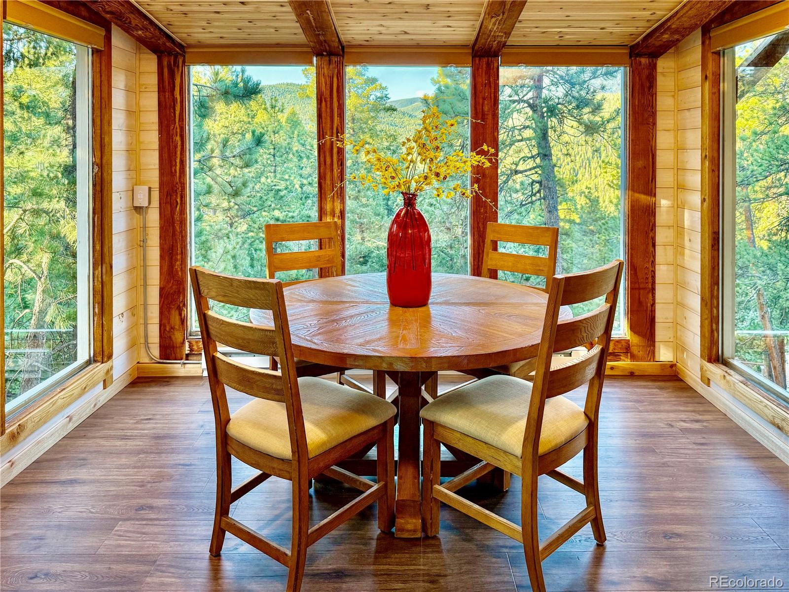 MLS Image #20 for 32783  lodgepole circle,evergreen, Colorado