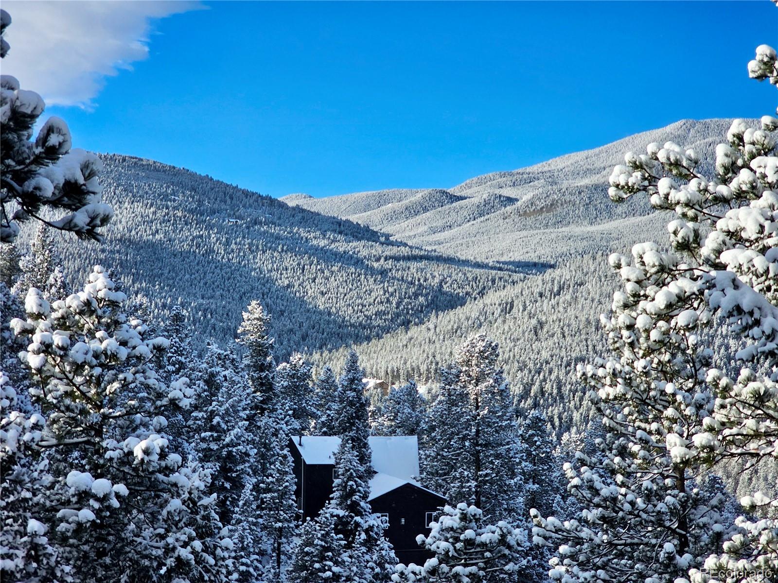 MLS Image #26 for 32783  lodgepole circle,evergreen, Colorado