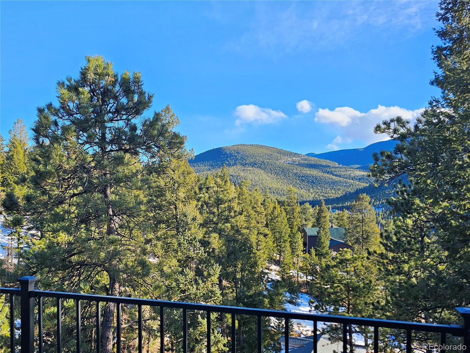 MLS Image #27 for 32783  lodgepole circle,evergreen, Colorado