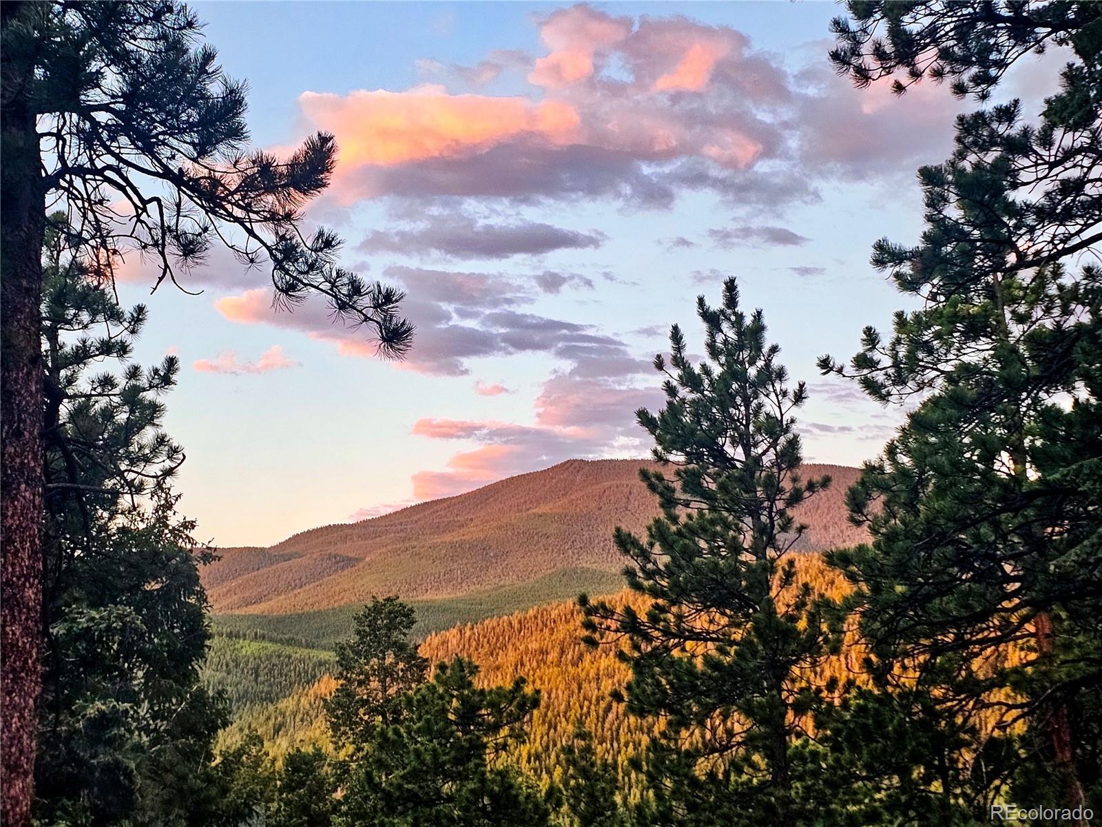 MLS Image #29 for 32783  lodgepole circle,evergreen, Colorado